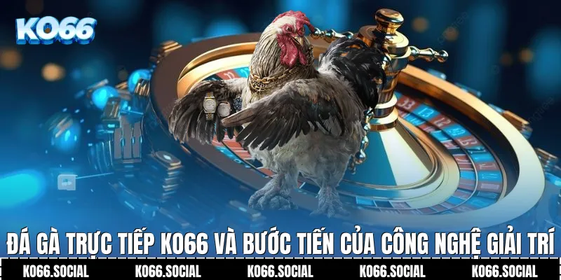 Đá Gà Trực Tiếp Ko66 và bước tiến của công nghệ giải trí