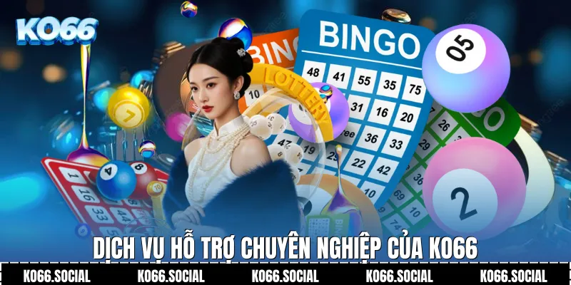 Dịch vụ hỗ trợ chuyên nghiệp của Ko66