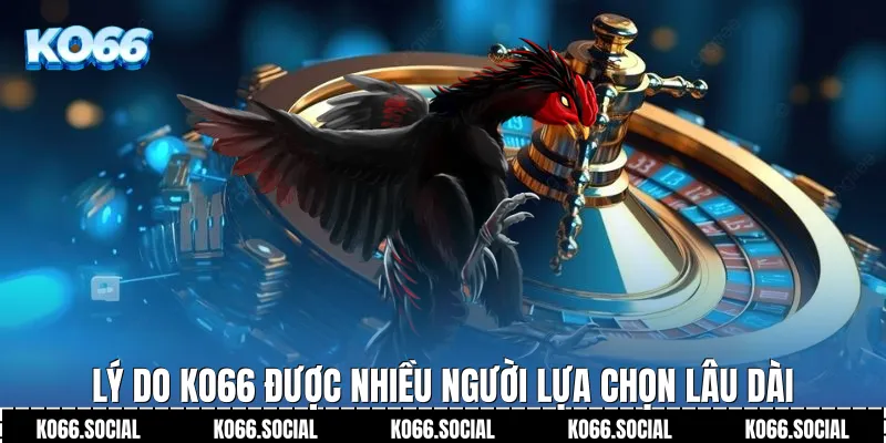 Lý do Ko66 được nhiều người lựa chọn lâu dài