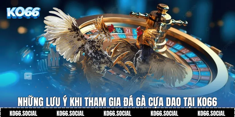 Những lưu ý khi tham gia Đá Gà Cựa Dao tại Ko66